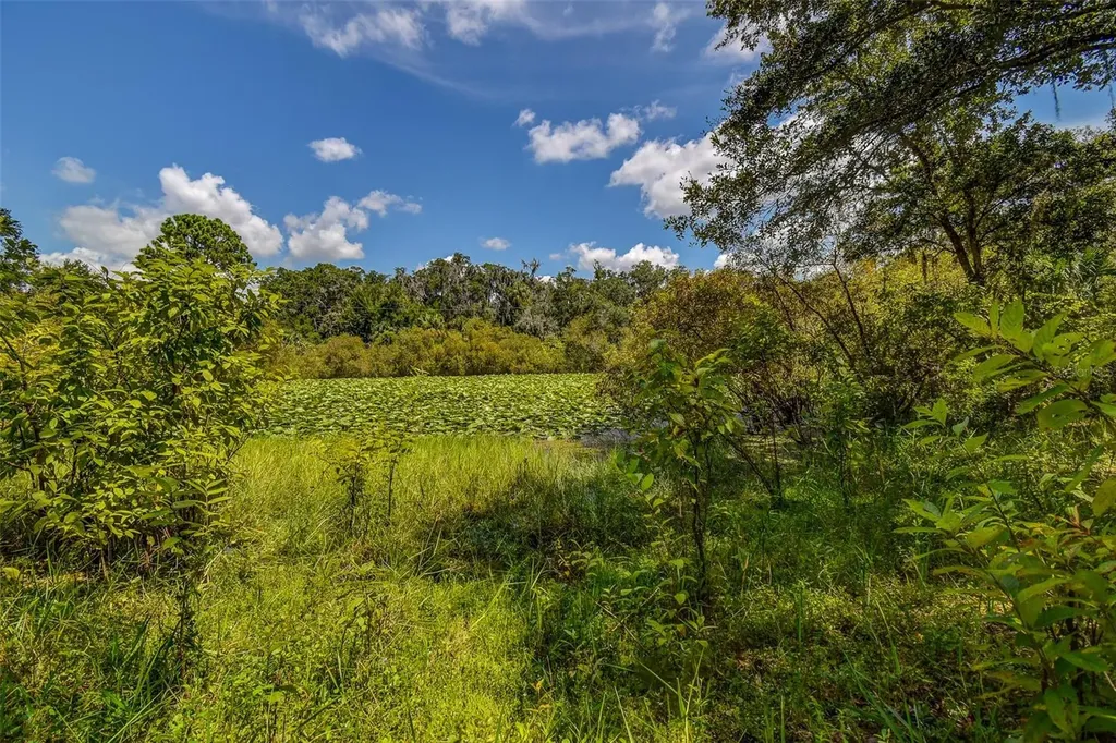 8601 W Bass Lake Road Crystal River FL 34428