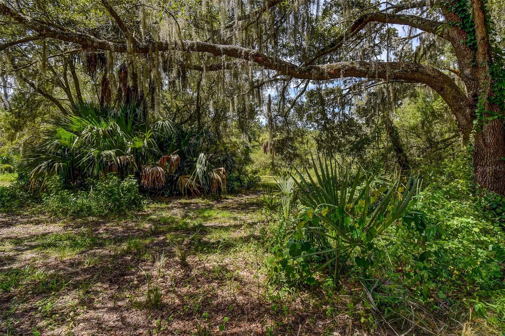 8601 W Bass Lake Road Crystal River FL 34428