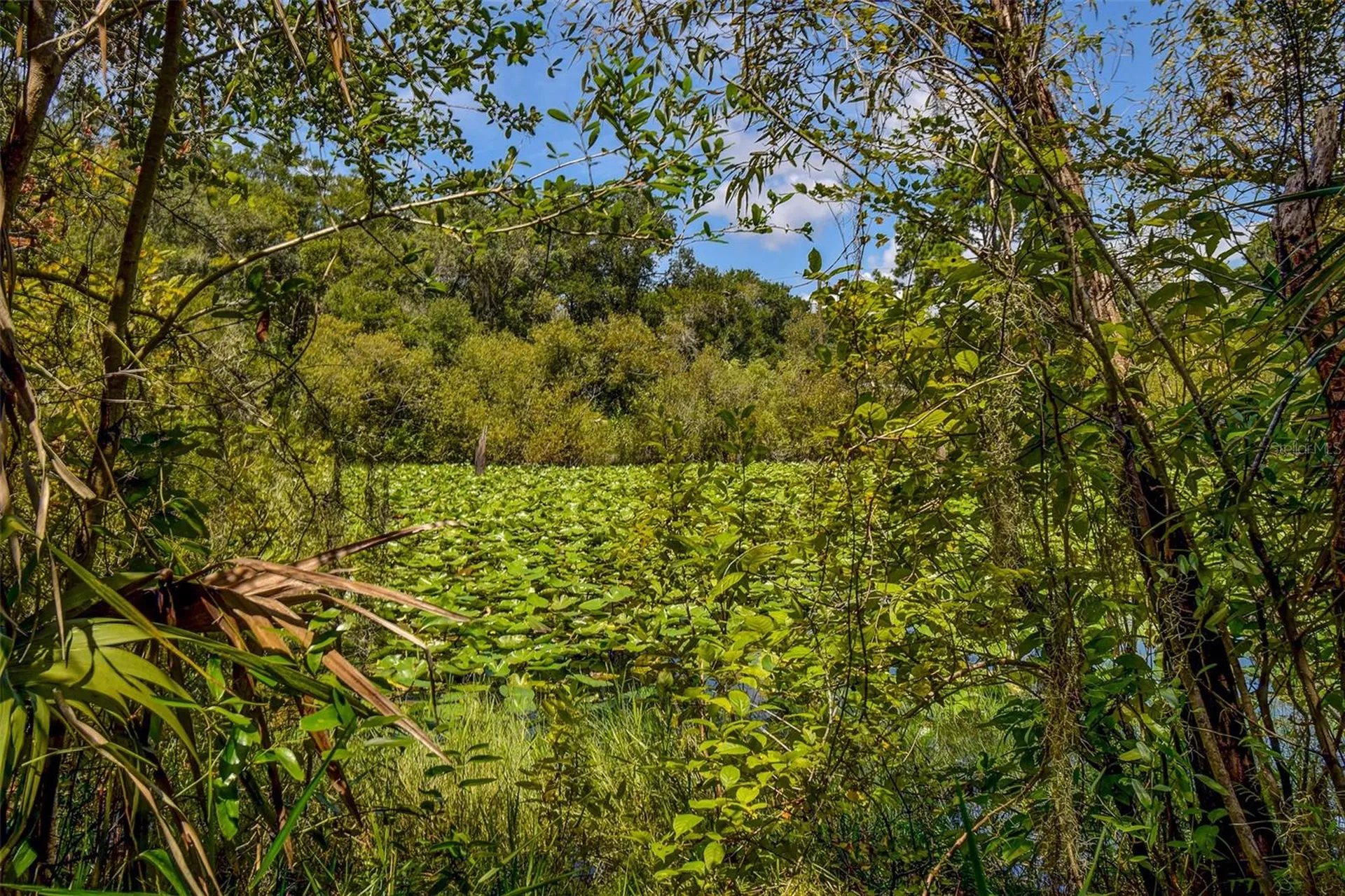 8601 W Bass Lake Road Crystal River FL 34428