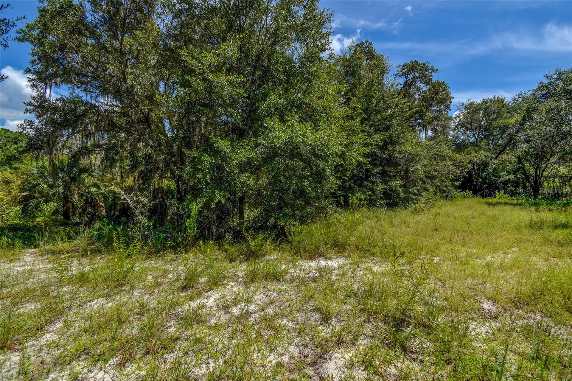 8601 W Bass Lake Road Crystal River FL 34428