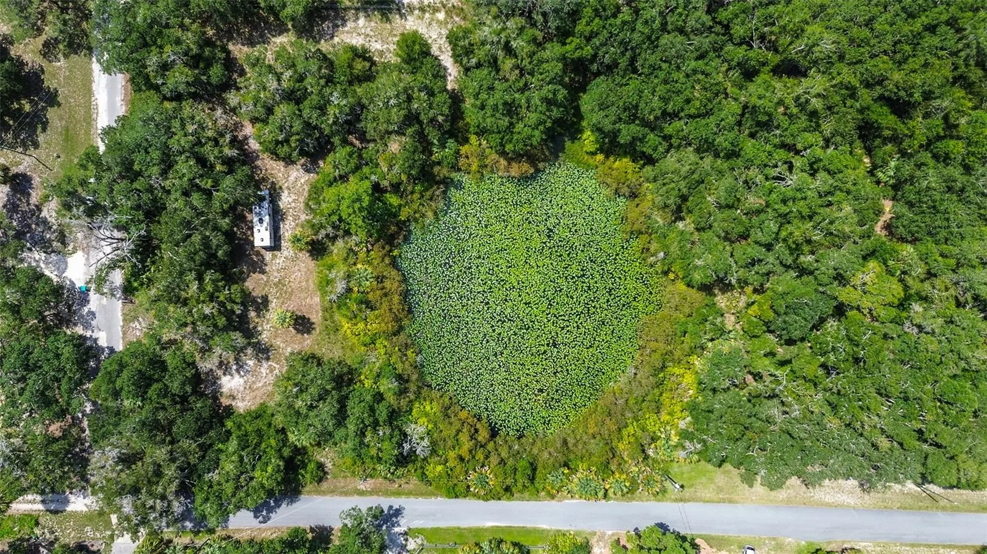 8601 W Bass Lake Road Crystal River FL 34428