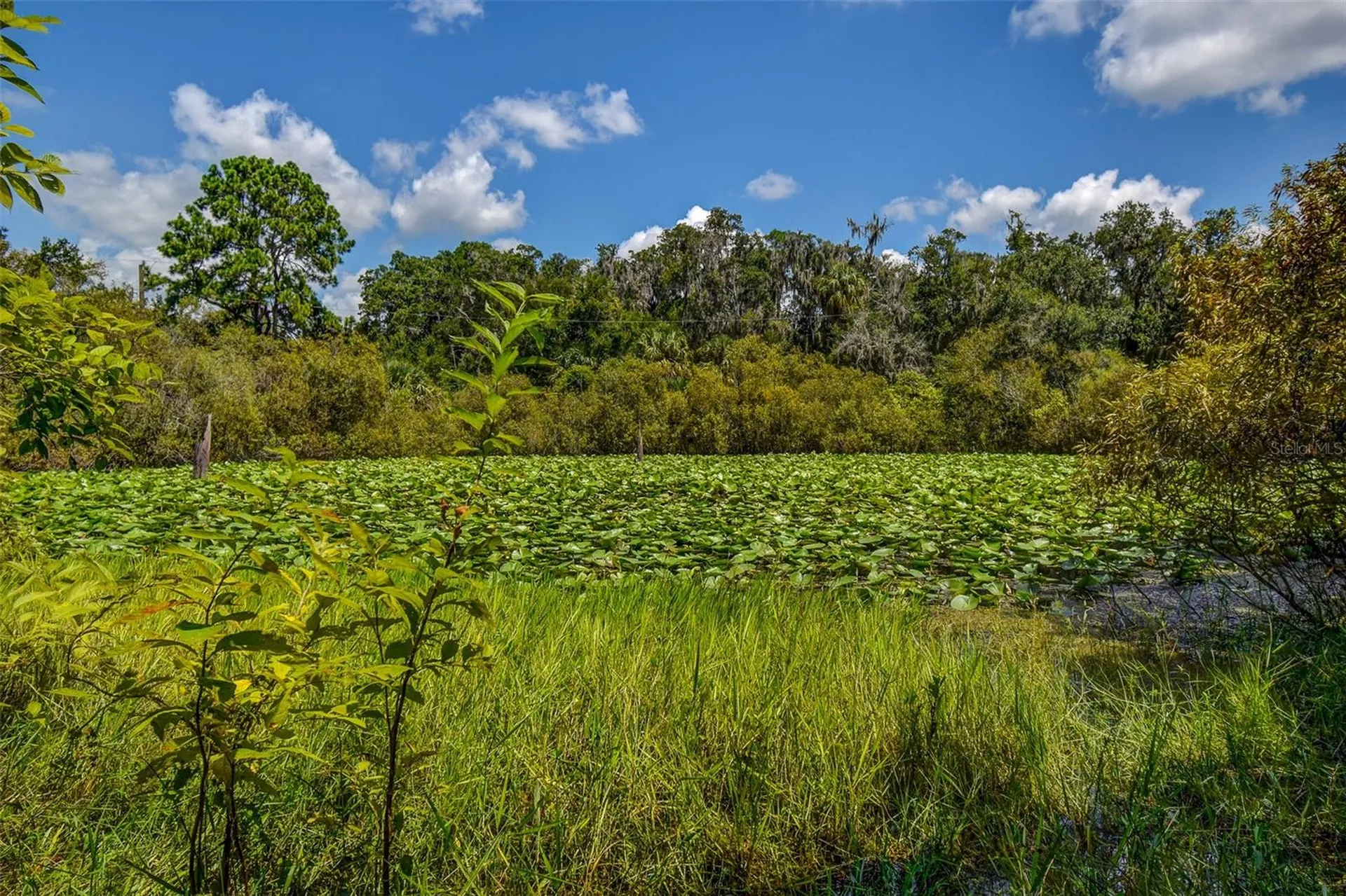 8601 W Bass Lake Road Crystal River FL 34428