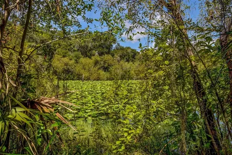 8601 W Bass Lake Road Crystal River FL 34428