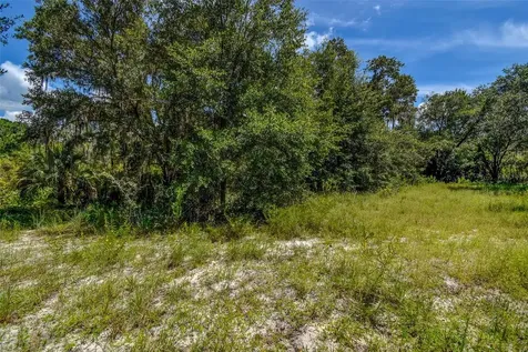 8601 W Bass Lake Road Crystal River FL 34428