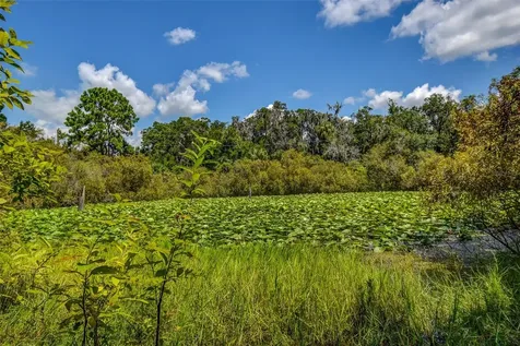 8601 W Bass Lake Road Crystal River FL 34428