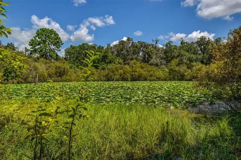 8601 W Bass Lake Road Crystal River FL 34428