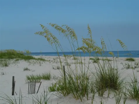 5242 Sea Chase Drive Fernandina Beach FL 32034