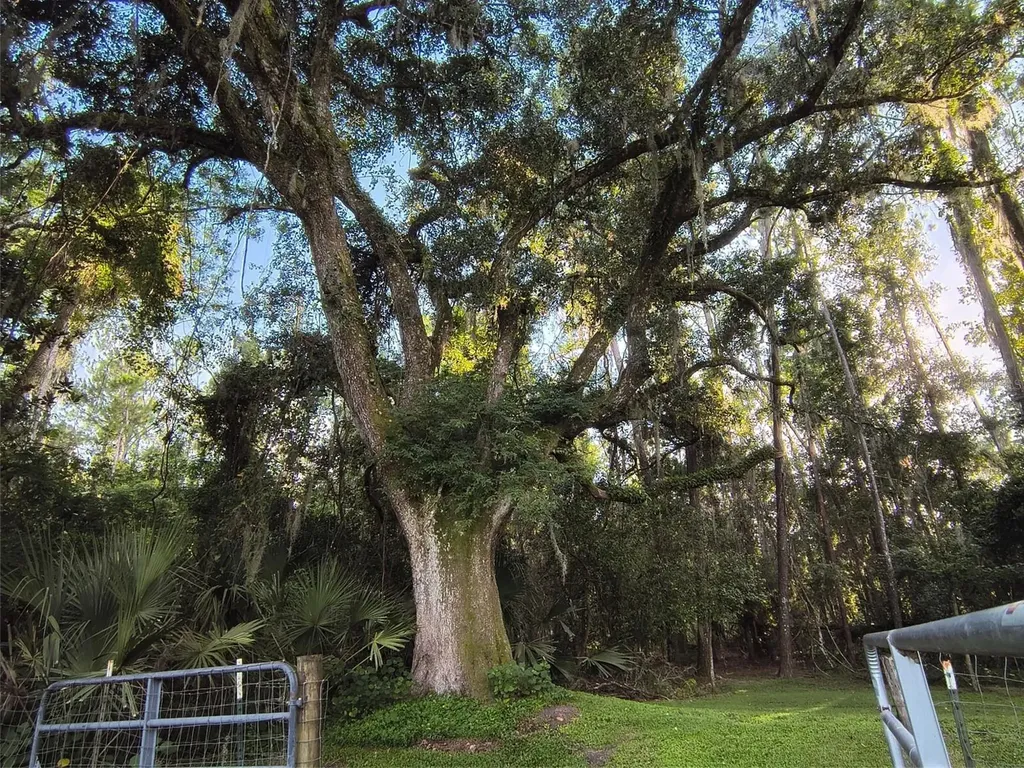 24050 Winding Creek Drive Brooksville FL 34601