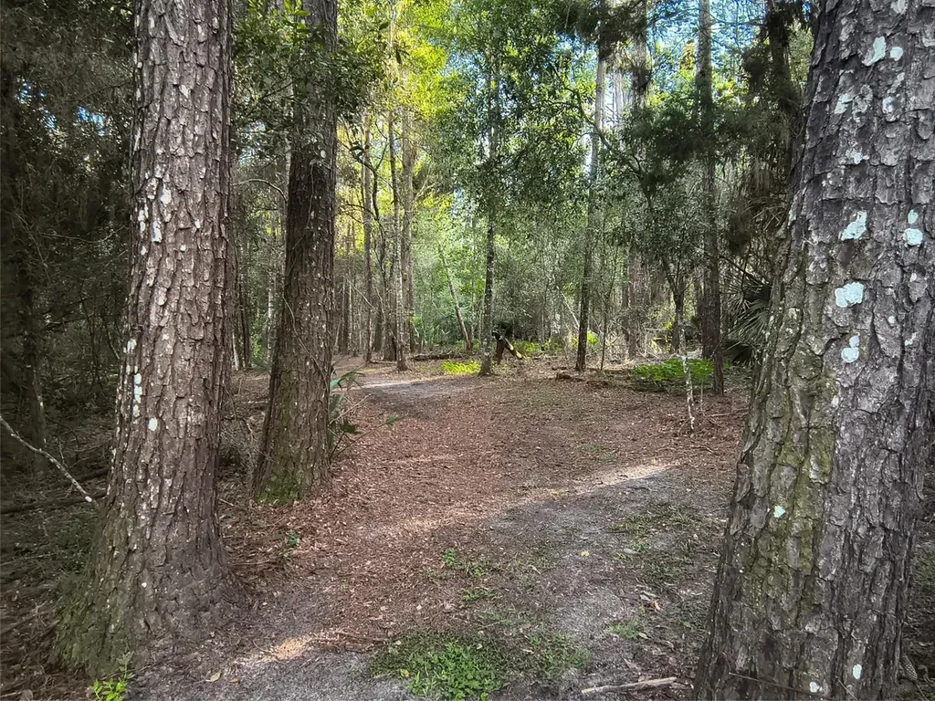 24050 Winding Creek Drive Brooksville FL 34601