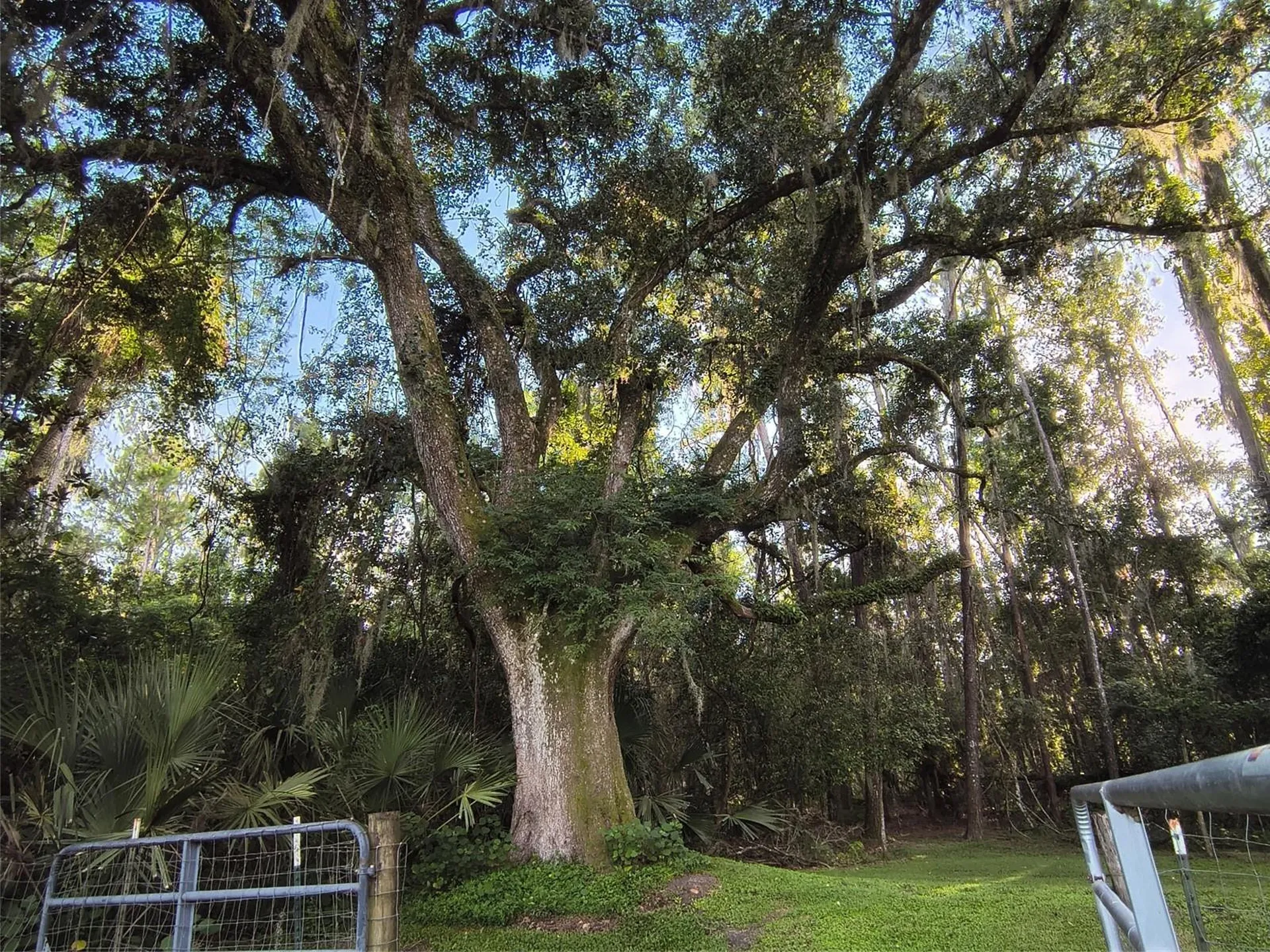 24050 Winding Creek Drive Brooksville FL 34601
