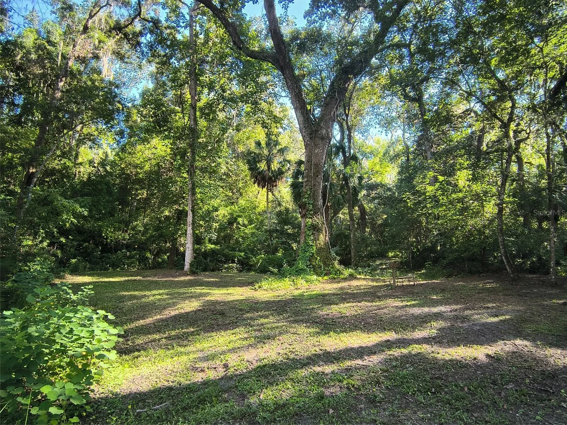 24050 Winding Creek Drive Brooksville FL 34601