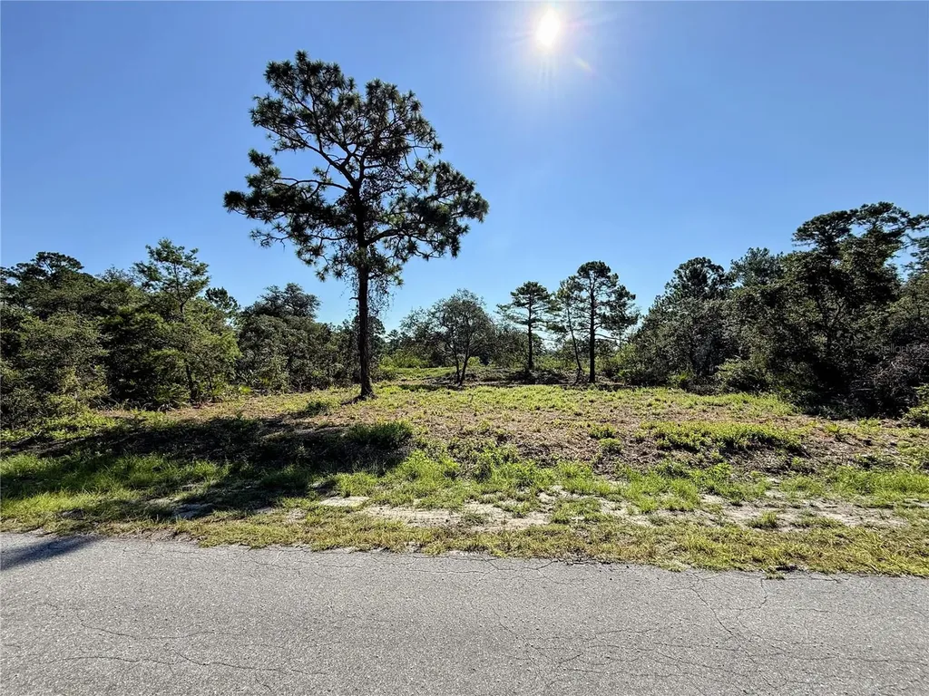 0 Malauka Pass Ocklawaha FL 32179