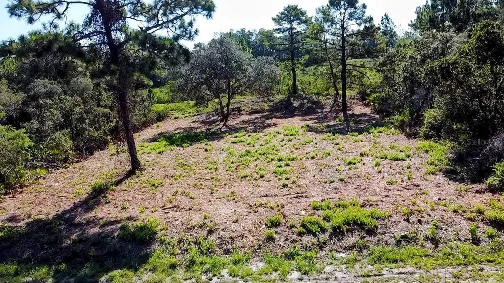 0 Malauka Pass Ocklawaha FL 32179