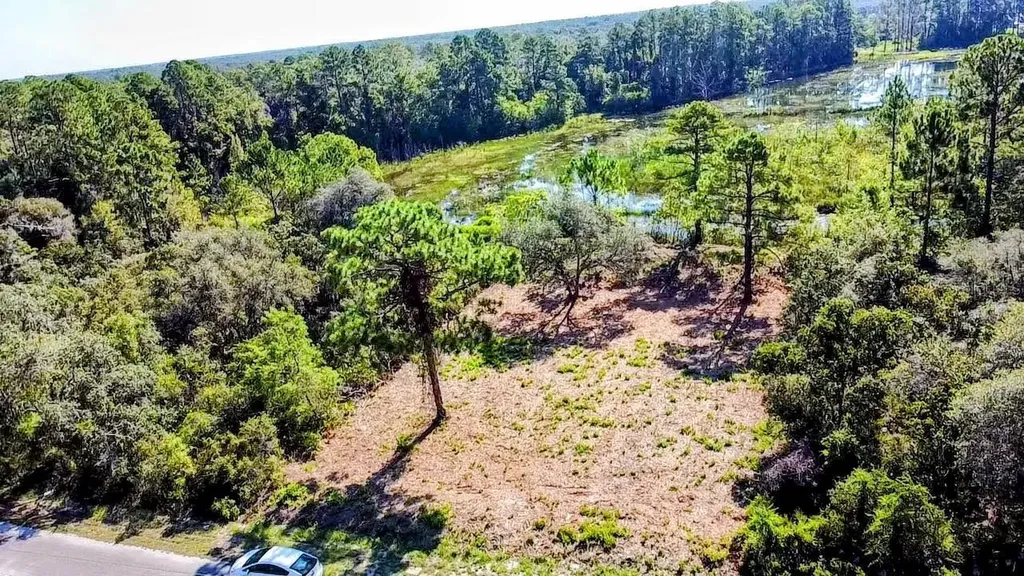 0 Malauka Pass Ocklawaha FL 32179