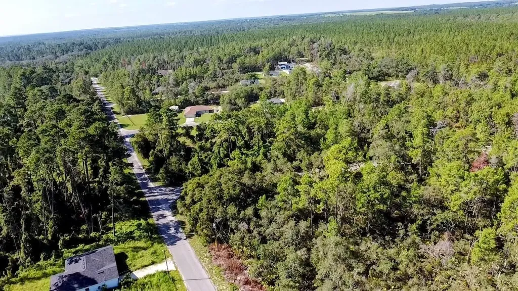 0 Malauka Pass Ocklawaha FL 32179