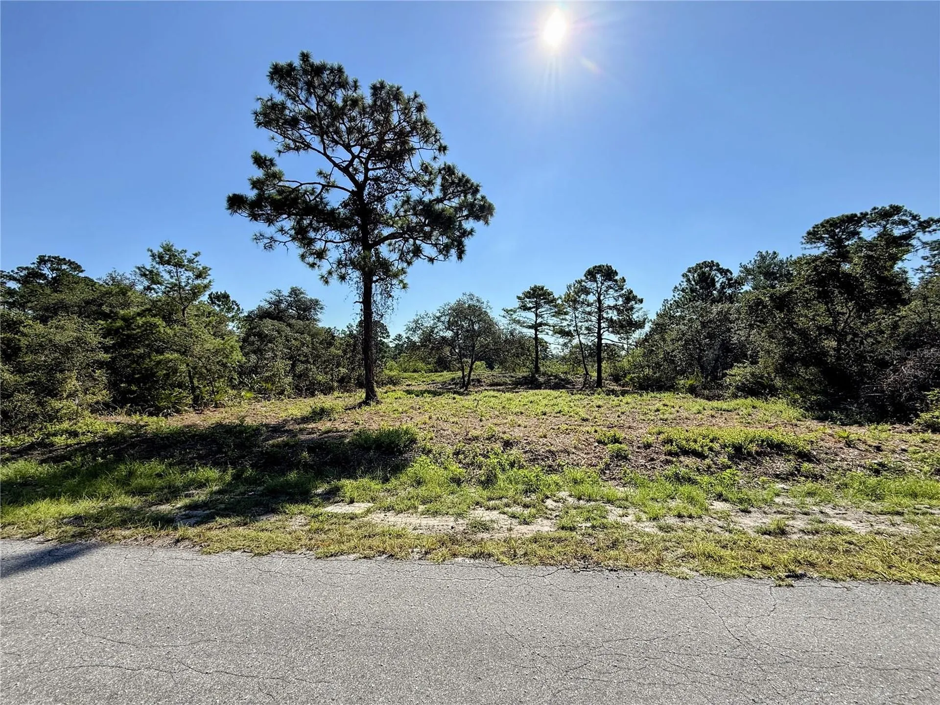 0 Malauka Pass Ocklawaha FL 32179