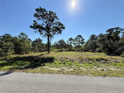 0 Malauka Pass Ocklawaha FL 32179