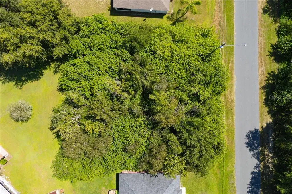 0 Cannes Drive Kissimmee FL 34759