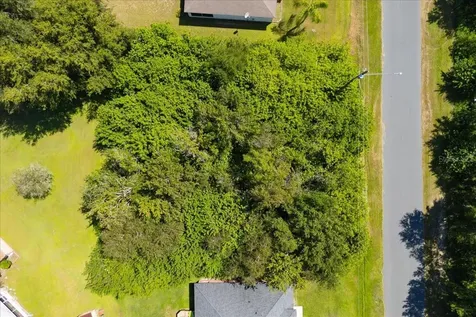 0 Cannes Drive Kissimmee FL 34759
