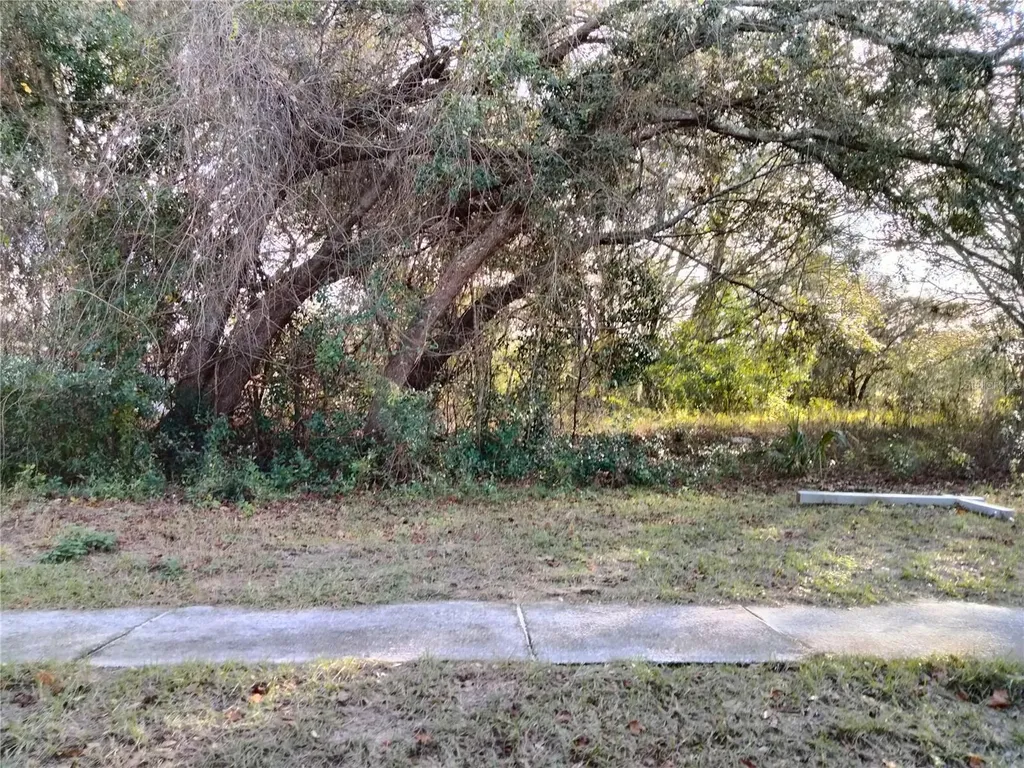 Sheeler Oaks Drive Apopka FL 32703