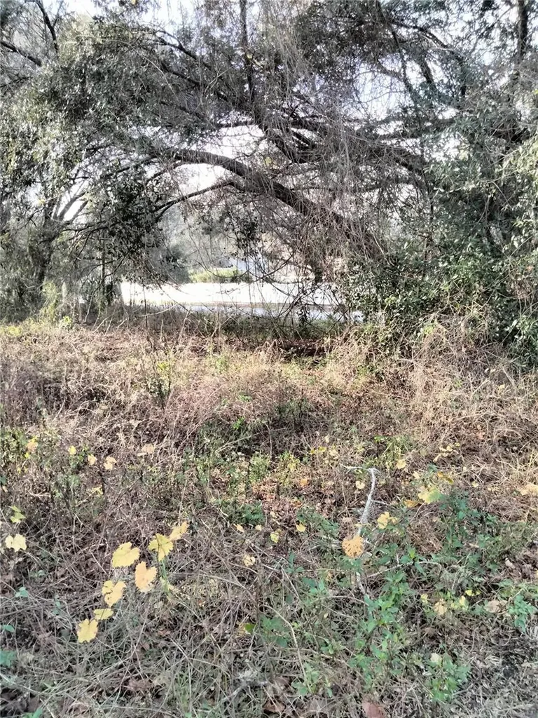 Sheeler Oaks Drive Apopka FL 32703