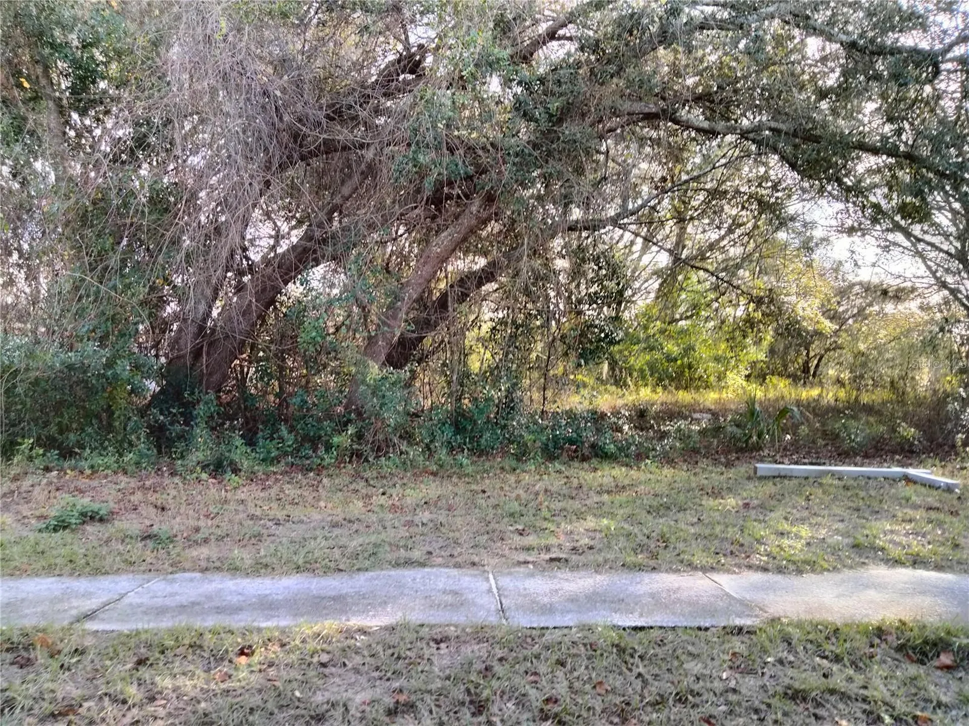 Sheeler Oaks Drive Apopka FL 32703