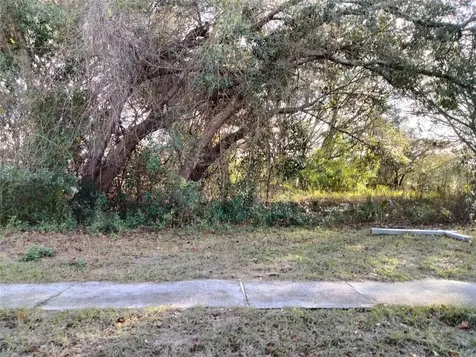 Sheeler Oaks Drive Apopka FL 32703