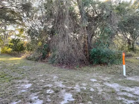 Sheeler Oaks Drive Apopka FL 32703