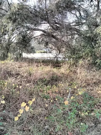Sheeler Oaks Drive Apopka FL 32703