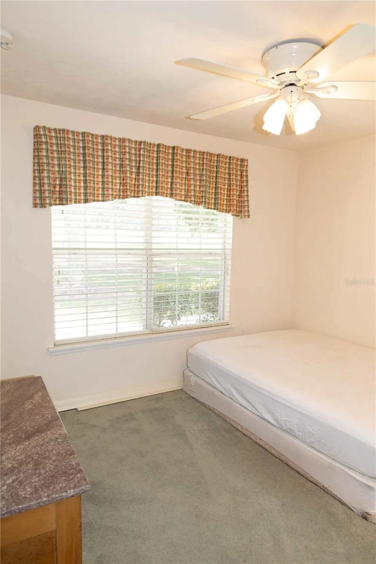 6494 NW 109th Place Alachua FL 32615