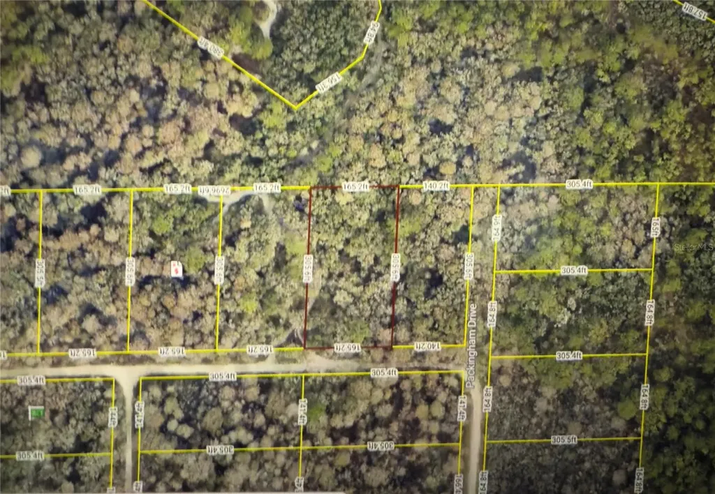 Rose Bloom Avenue Webster FL 33597