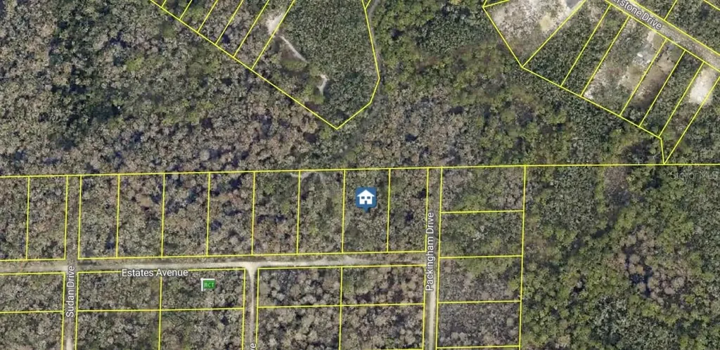 Rose Bloom Avenue Webster FL 33597