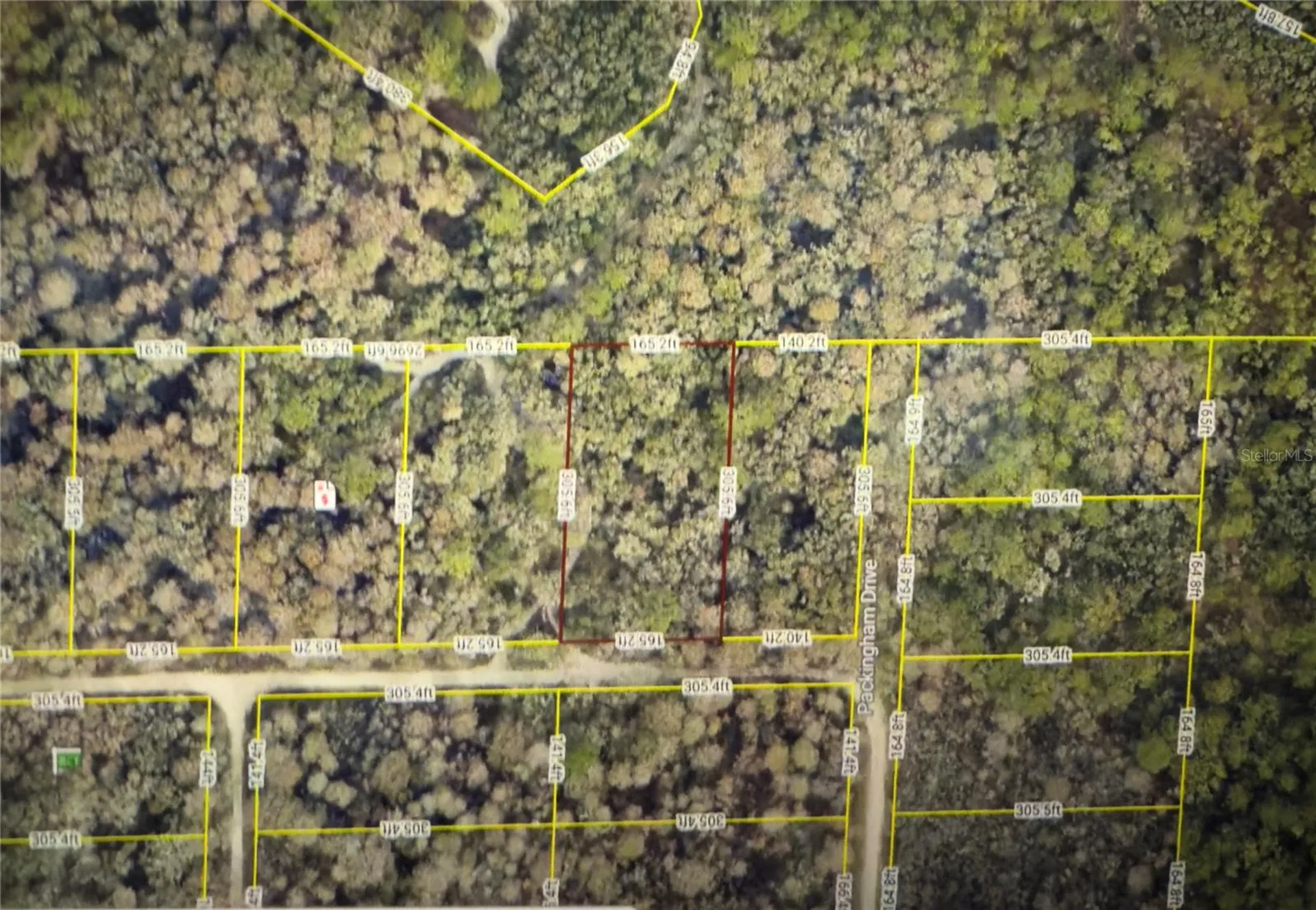 Rose Bloom Avenue Webster FL 33597