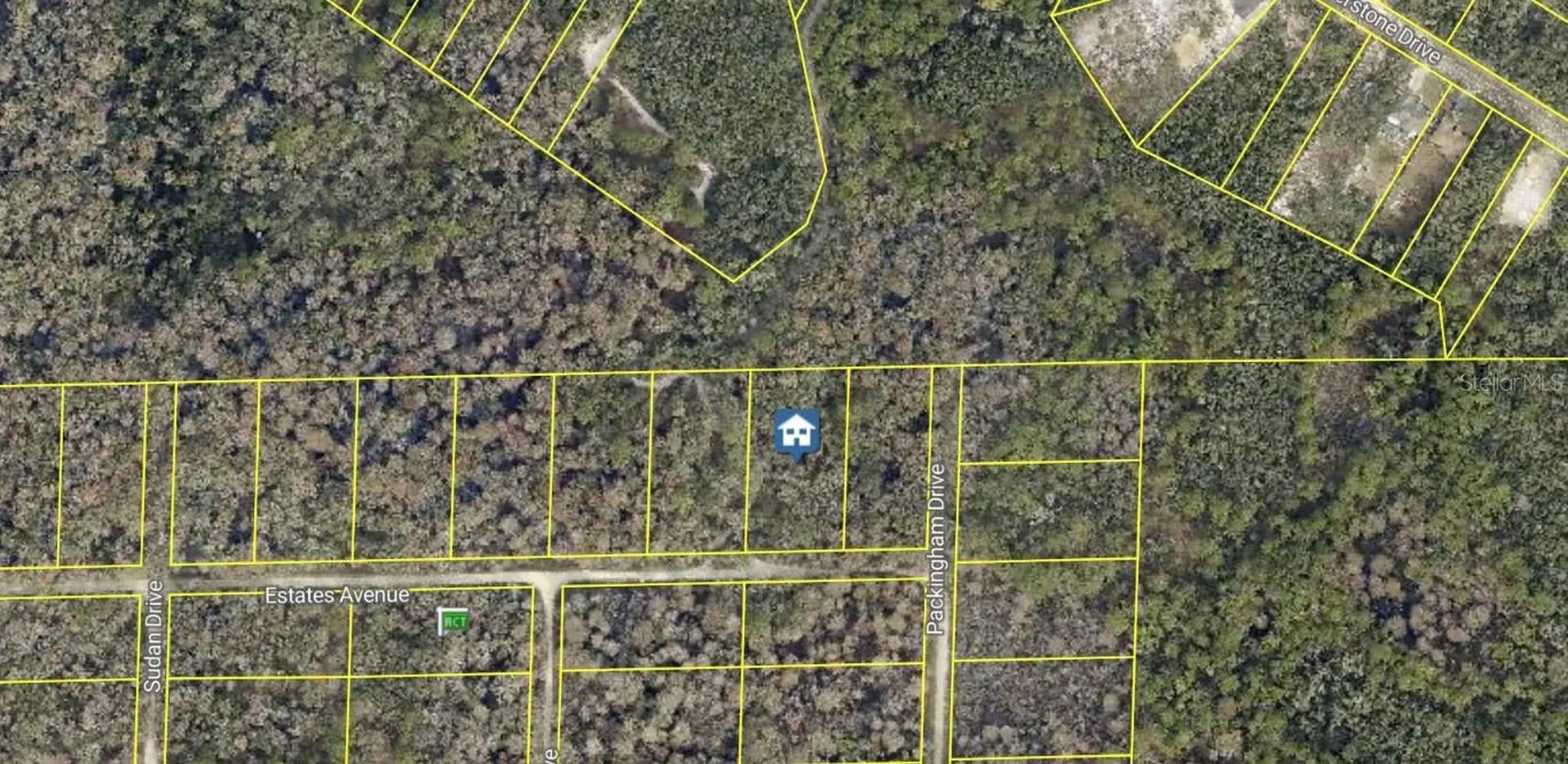 Rose Bloom Avenue Webster FL 33597