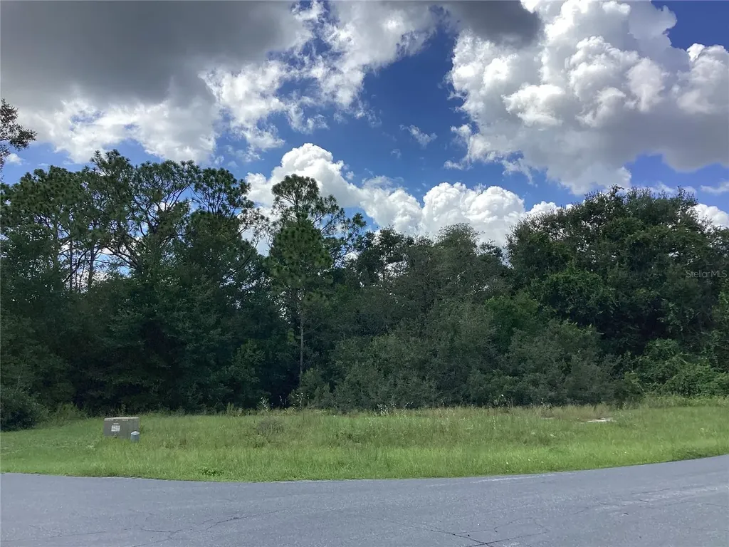 0 Hickory Ridge Drive Fruitland Park FL 34731