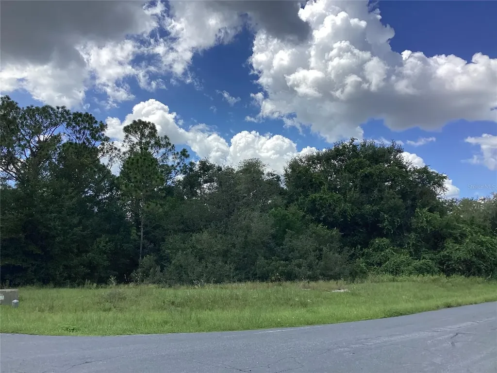 0 Hickory Ridge Drive Fruitland Park FL 34731