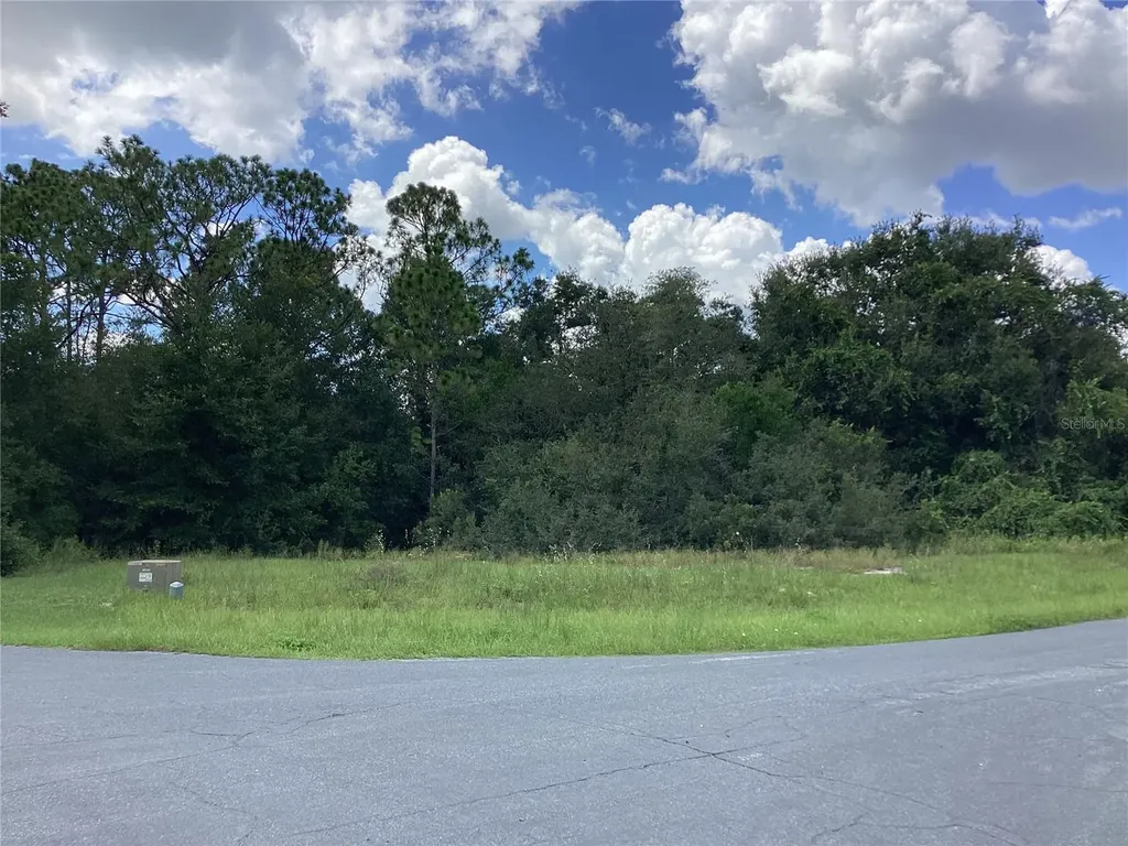 0 Hickory Ridge Drive Fruitland Park FL 34731