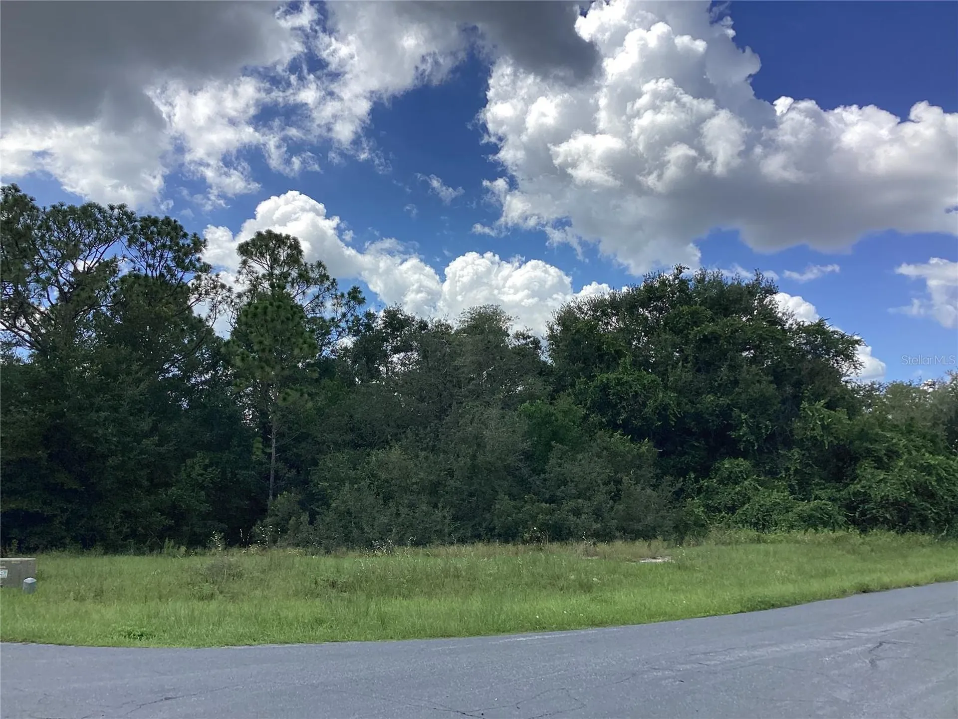 0 Hickory Ridge Drive Fruitland Park FL 34731