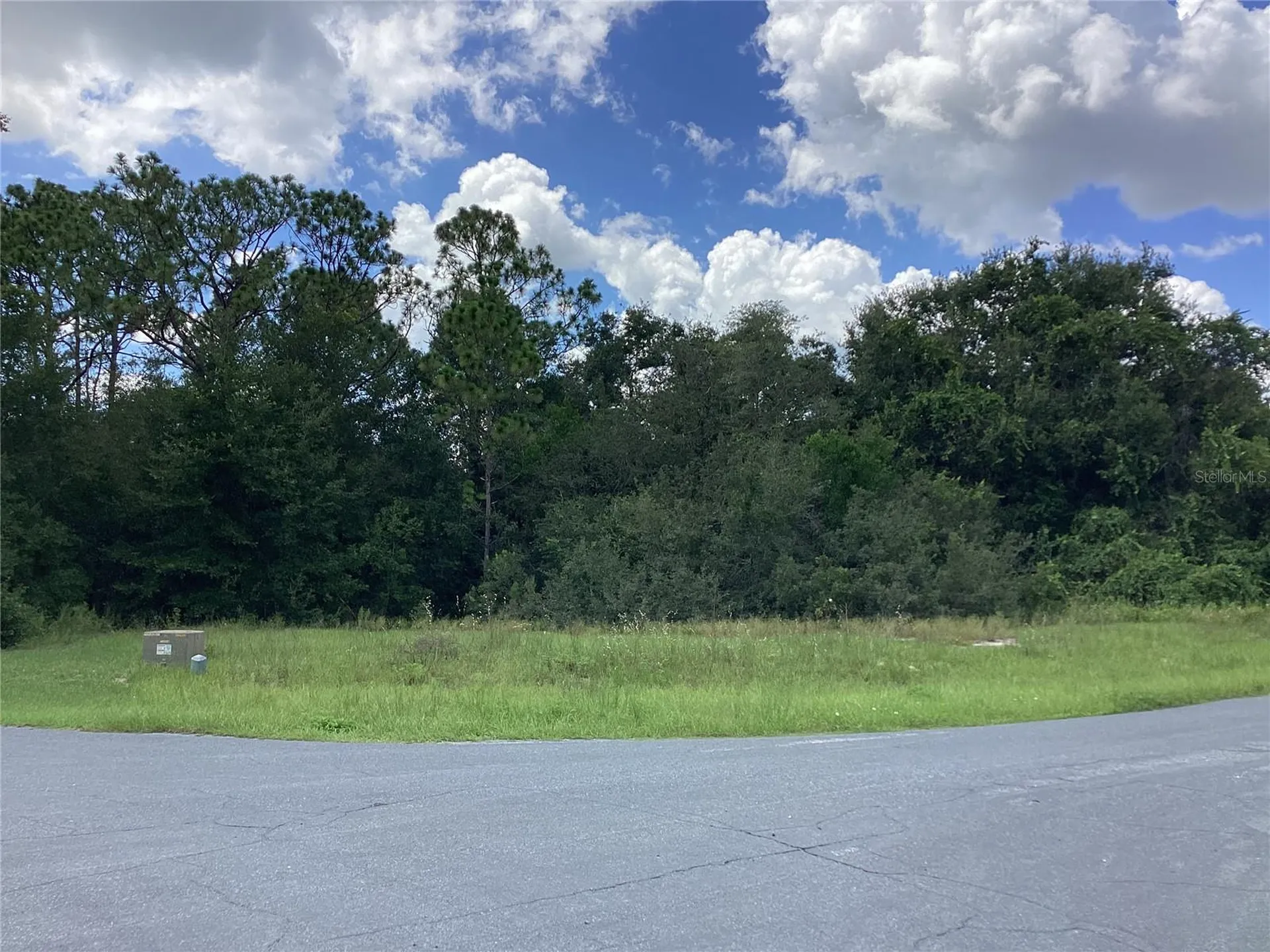 0 Hickory Ridge Drive Fruitland Park FL 34731