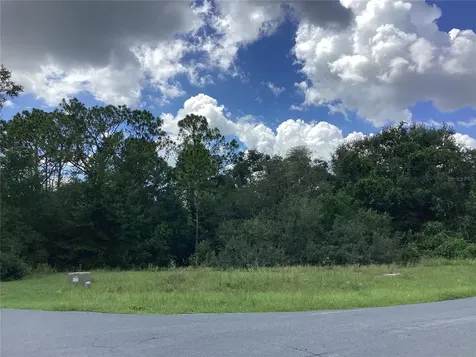 0 Hickory Ridge Drive Fruitland Park FL 34731