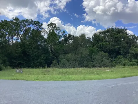 0 Hickory Ridge Drive Fruitland Park FL 34731