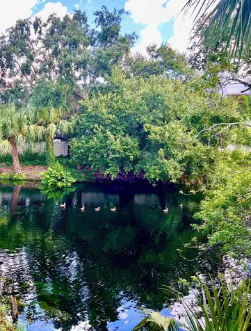 984 Sunridge Drive Sarasota FL 34234