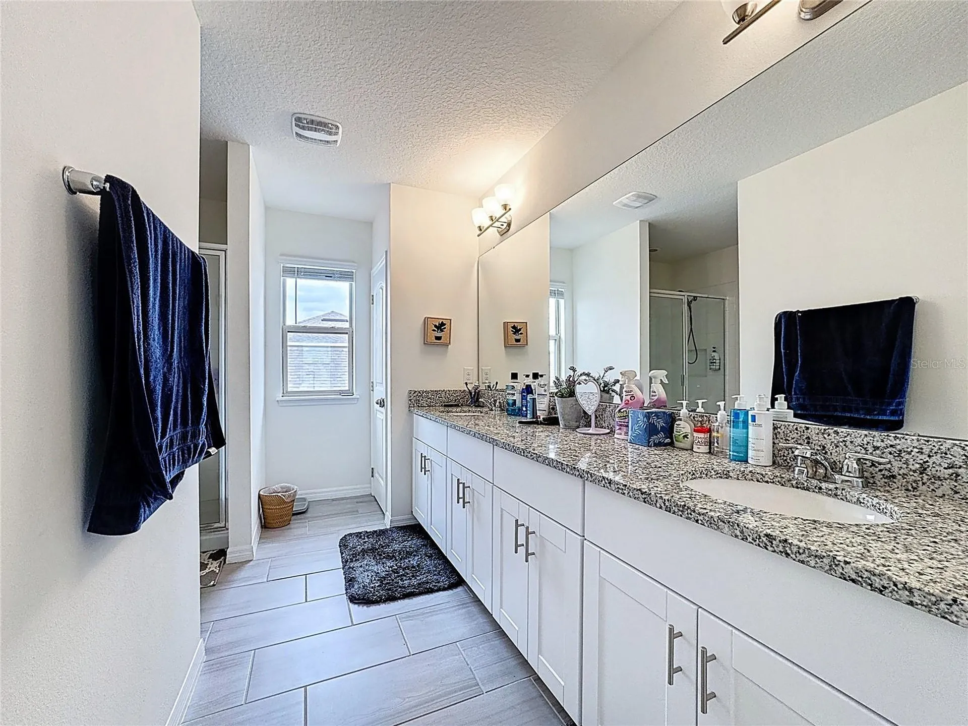 11045 Bostwick Alley Winter Garden FL 34787