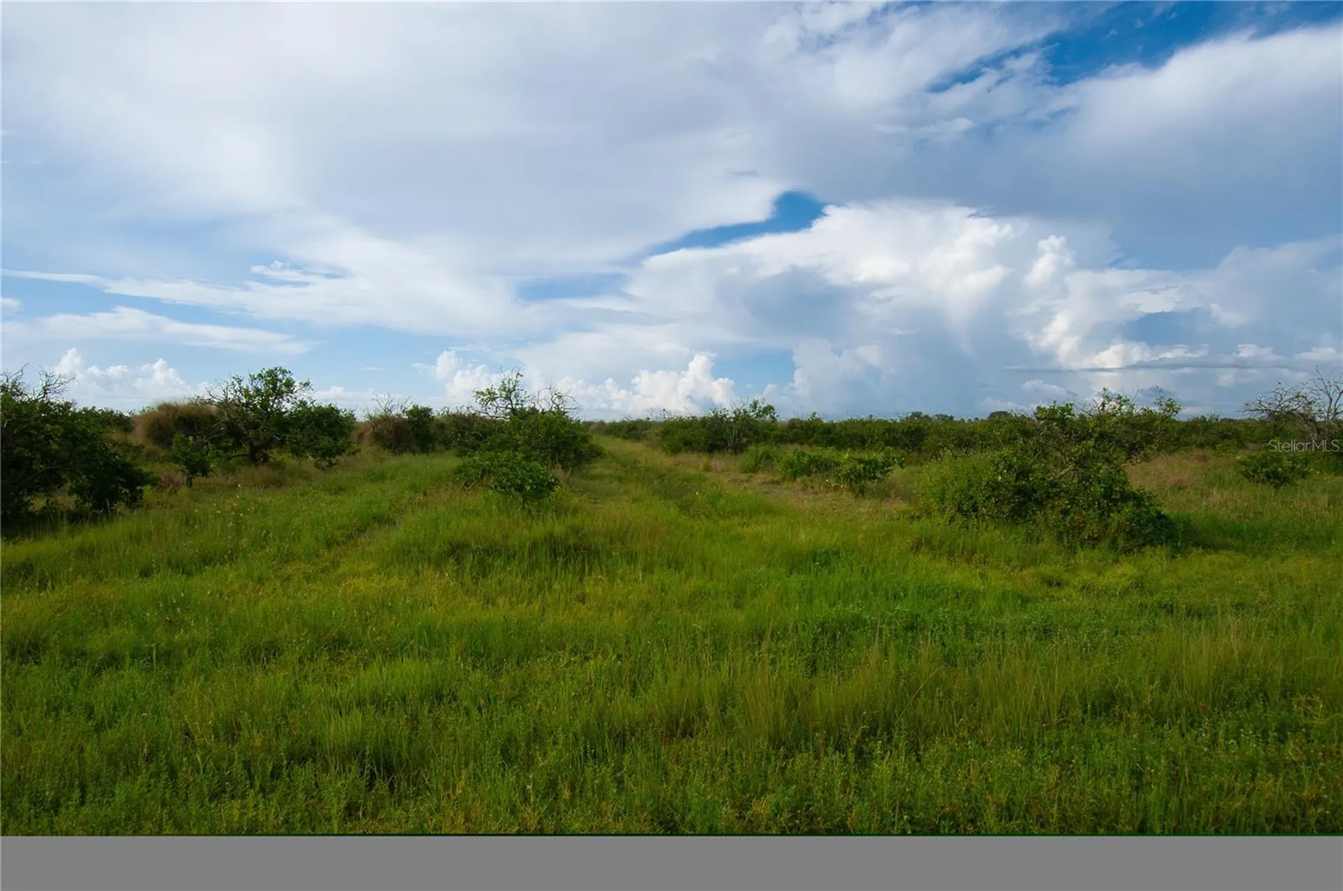 45137 (22-21) Narrow Lane Punta Gorda FL 33982