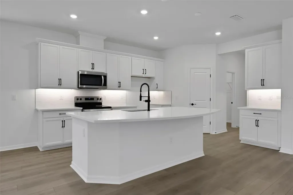17421 Crisp Apple Lane Land O Lakes FL 34638