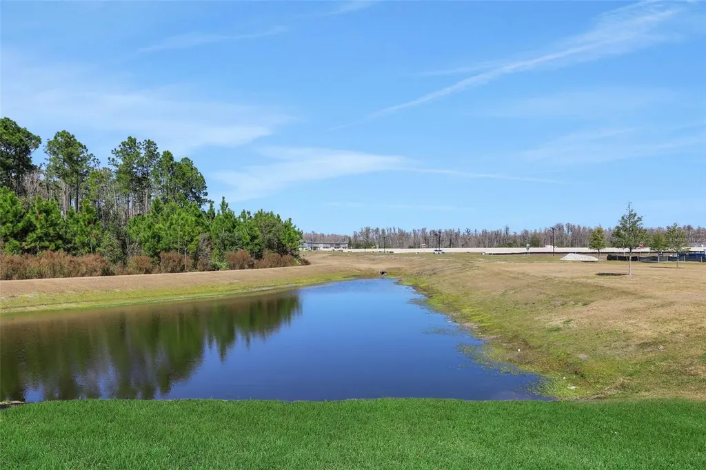17421 Crisp Apple Lane Land O Lakes FL 34638