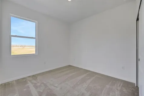 17421 Crisp Apple Lane Land O Lakes FL 34638