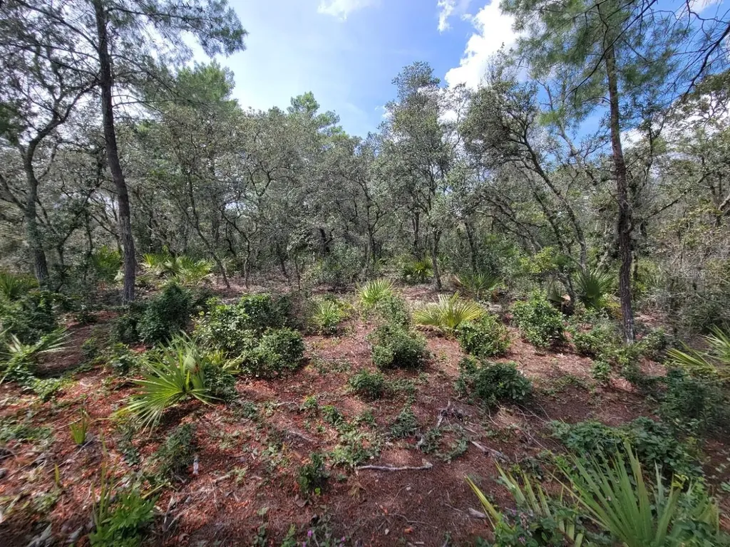 Corner Of Oak And Cypress Road Ocala FL 34472