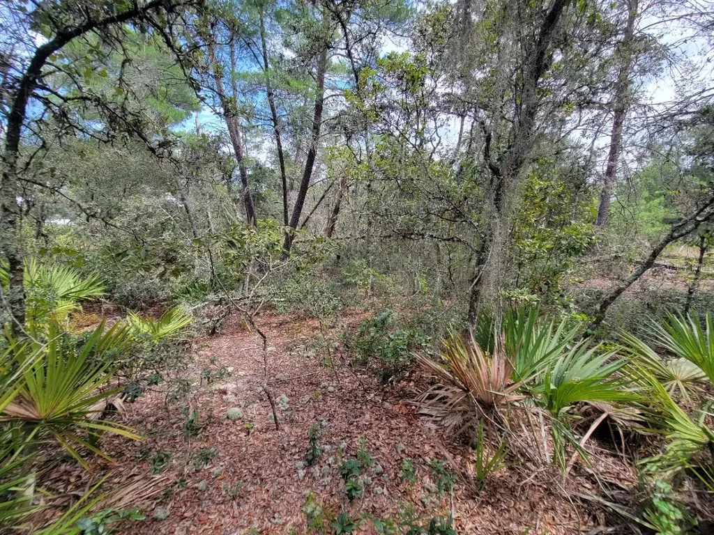 Corner Of Oak And Cypress Road Ocala FL 34472