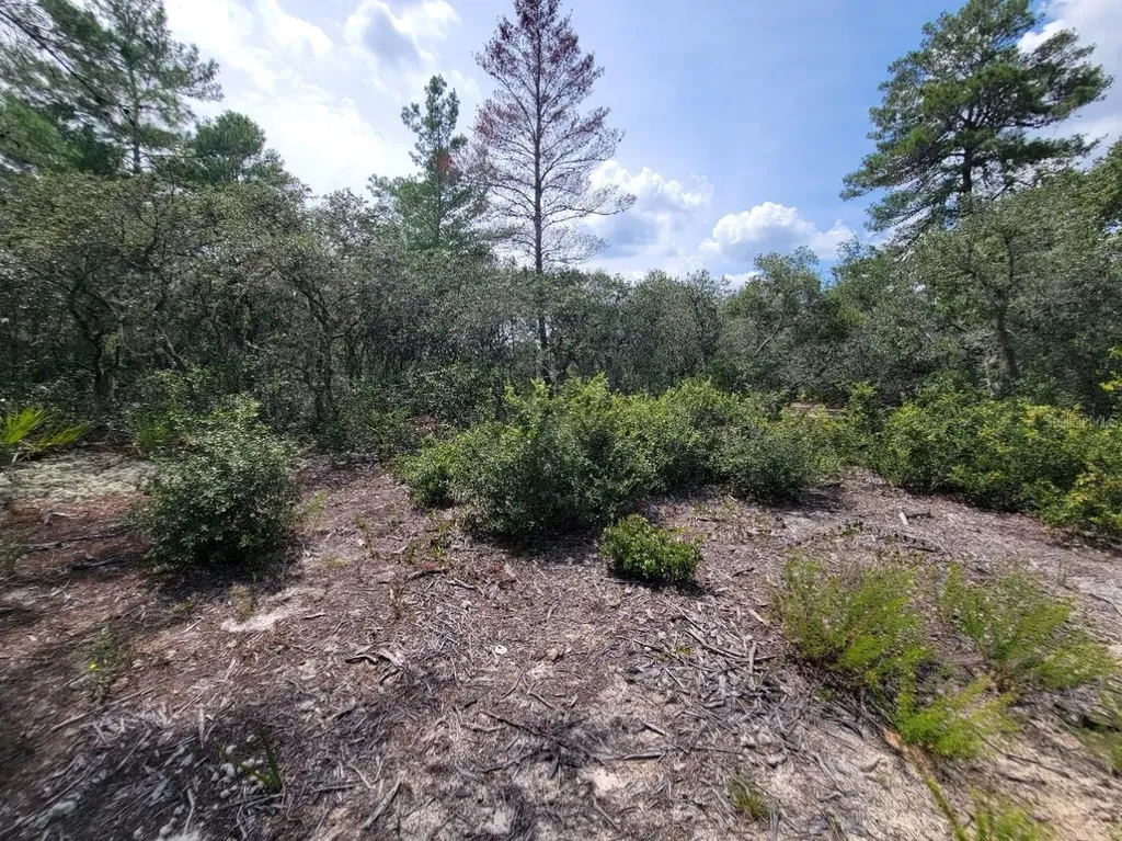 Corner Of Oak And Cypress Road Ocala FL 34472